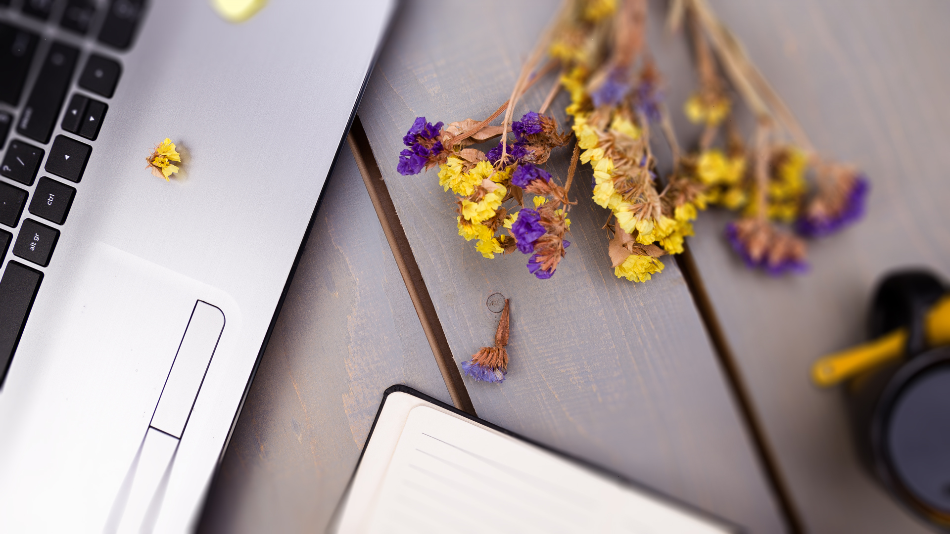 We Create<br> Digital Experiences